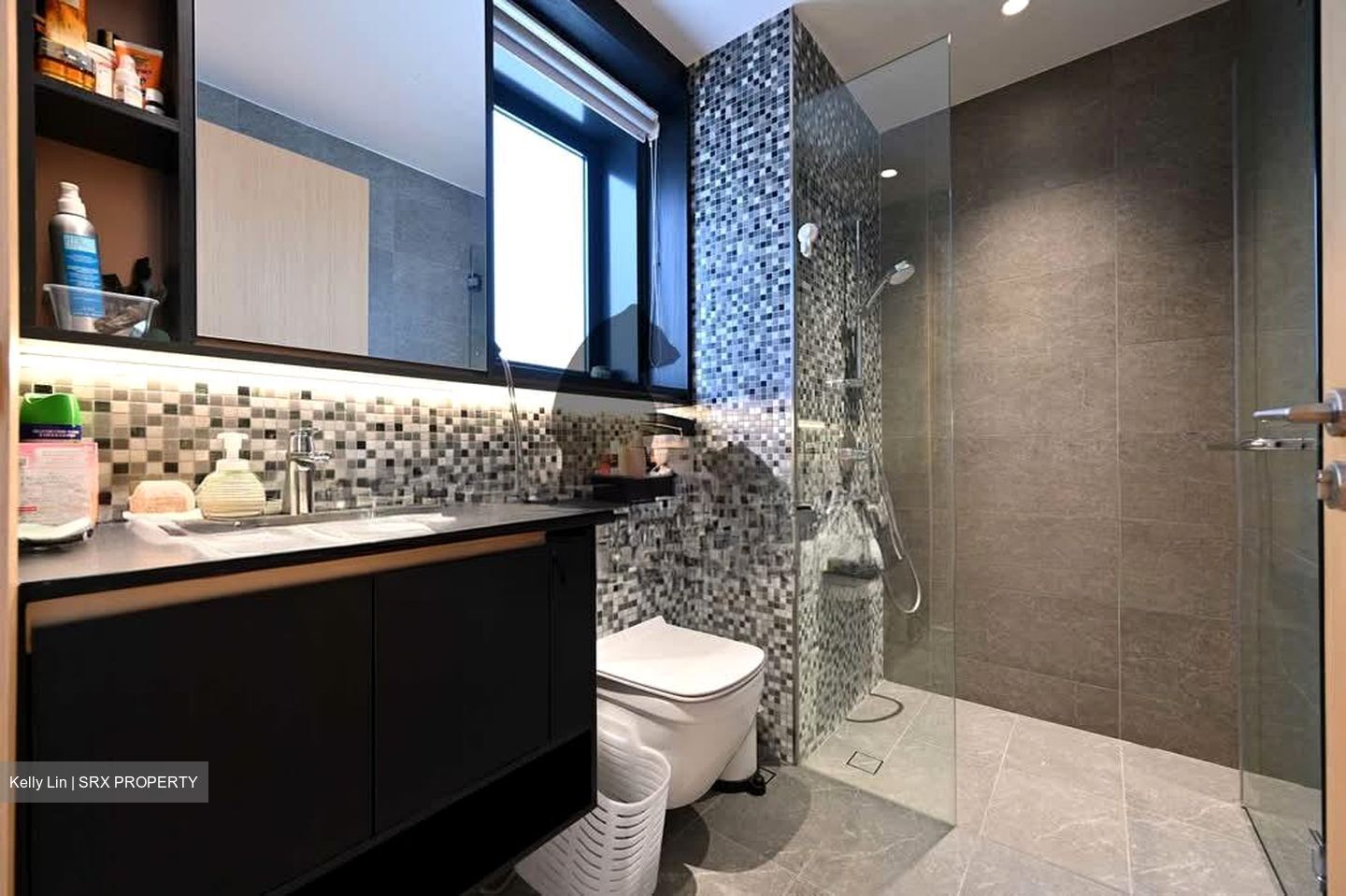 The Antares (D14), Apartment #558589481
